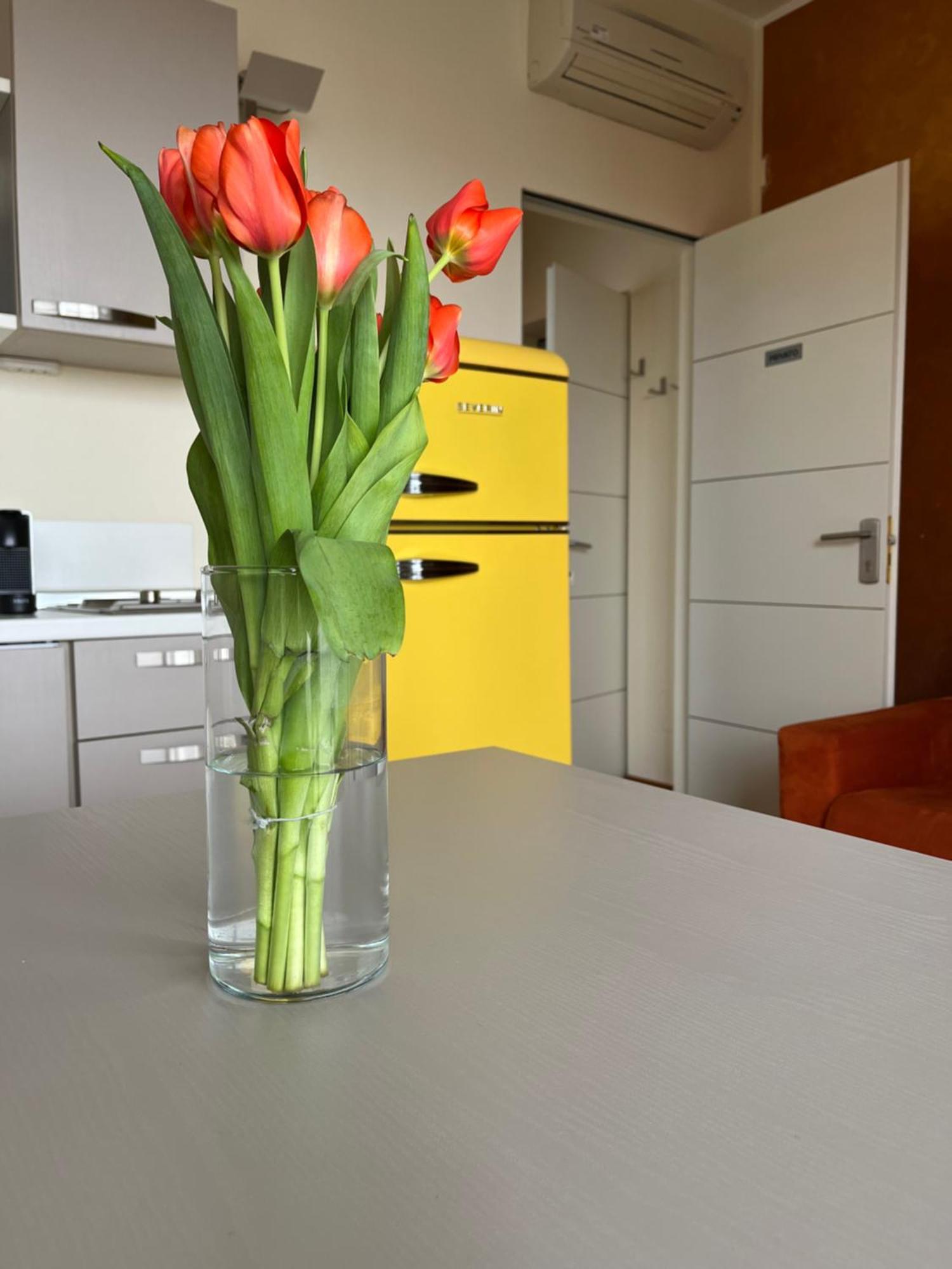 Apartment Giardino Segreto *